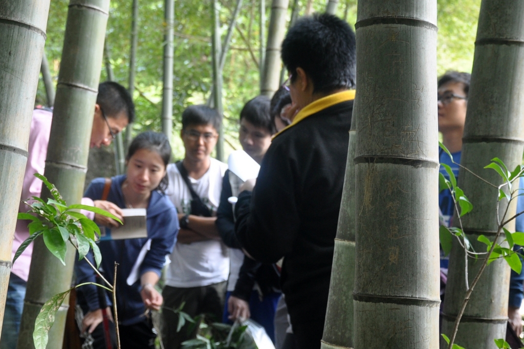 野外中草药采集